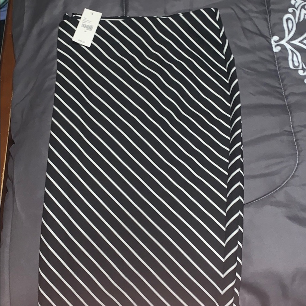 Women’s Plus Size Skirt